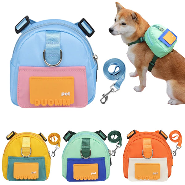 Pet Harness and Bag