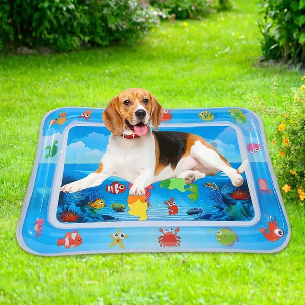 Pet  Water Sensory Mat