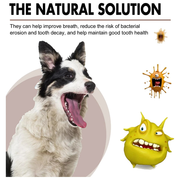 Pet Tooth Cleaning Spray 30ml