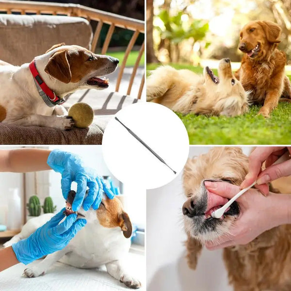 Pets Teeth Cleaner Stainless Steel Tool's