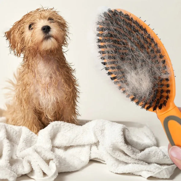 Double-sided Hair Remover  Brush