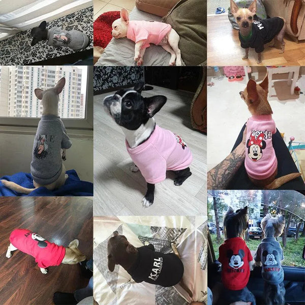 Dog Winter Dumbo Cartoon Hoodie